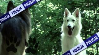 PREMIERA Komisarz Alex - sobota 31 sierpnia, 20.25 w TVP1