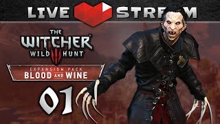WITCHER 3 Blood and Wine Walkthrough PART 1 | ? Death March, NG+