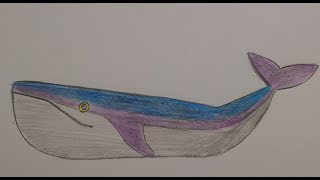 Как нарисовать кита
