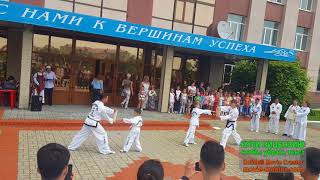 Показательные выступления тхэквондо итф город находка 2018