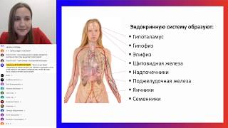 Эндокринная система. Гормоны | Кружок