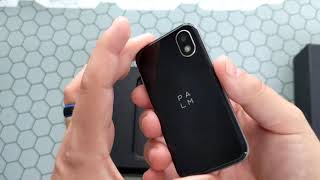 Palm Companion Phone 2019 What is This?