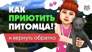 The Sims 4 | Как приютить питомца? | Много собак | + возвращаем