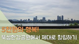 [소확행] 외국인들의 최애 한강공원이라는 뚝섬 한강공원 힐링해보기
