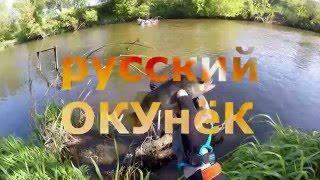 Ловля окуня.  река Пахра 2016г. Rigge35F убийца окуней. Ловля на спиннинг. Челышев ст-я рыбалки