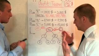 Презентация нового матричного проекта Profit Team