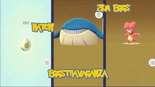 EGGSTRAVAGANZA// Multiple Egg Hatches//