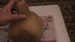 Выращивание лагенарии на семена.