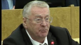Отличное выступление Жириновского в Думе 24.01.2019