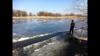 Подводная охота. Неожиданные морозы. Ломаем лёд. Не для начинающих. Spearfishing