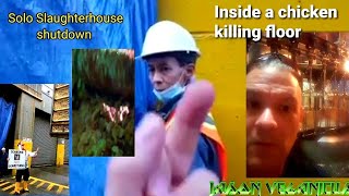 I Shut Down a Slaughterhouse by Myself.