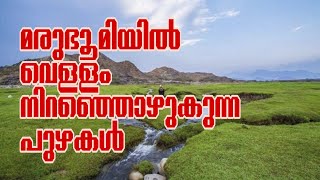 Wadi Al bardani /സൗദി മരുഭൂമിയിലെ പുഴ