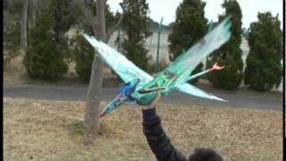 Avatar's Navi on Banshee7-10 & Leonopteryx11-1 and Fly