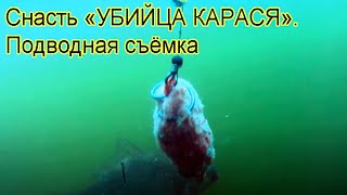 Ловил на донку с кормушкой. Подводная съемка, рыбалка. Ловля карася на озере Карасун. Fishing