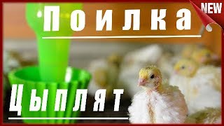 ⚠ Поилка для суточных цыплят и перепелят ⚠Как сделать ваккумные  поилки для брудера своими руками.