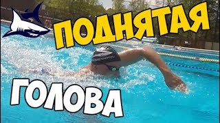 Как правильно плавать кролем? Плавание с поднятой головой. Какие ошибки исправить, чтоб плыть плавно