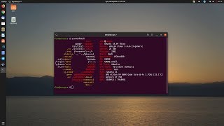 Ubuntu 19.04 Disco Dingo - первые впечатления после релиза