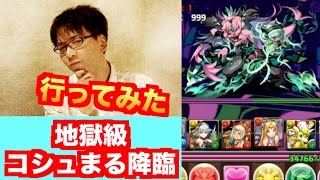 情報無しで突撃【コシュまる降臨！】地獄級　サンダルフォンPT　パズドラ　じゃじゃーん菊池