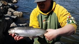 BOW RIVER SPRING FISHING- First open water of the season