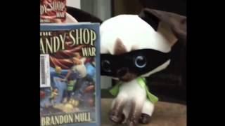 The 5 Book Care Rules starring Skippy Jon Jones