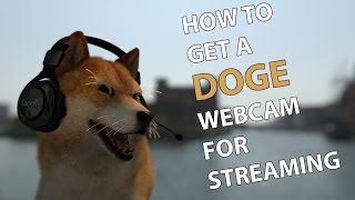 How to Get A Doge Webcam for Streaming