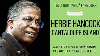 Cantaloupe Island на губной гармошке. Табулатура