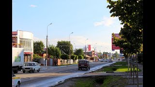 Заехали в Славянск на Кубани. Наши питомцы...