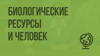 Биологические ресурсы и человек. Видеоурок по географии 8 класс