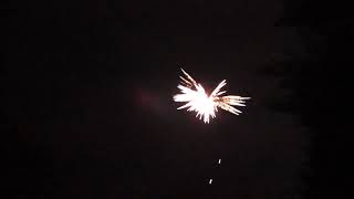 New Year's Eve 2020 Fireworks!