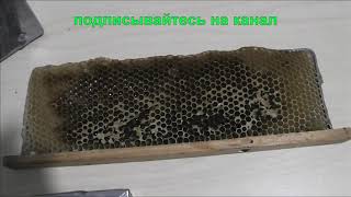 как подсадить матку в отводок.как сделать изолятор для матки в альпийский улей или мфу улей