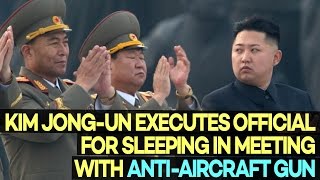 Kim Jong-un Executes Official for SLEEPING in a Meeting with Anti-Aircraft Gun