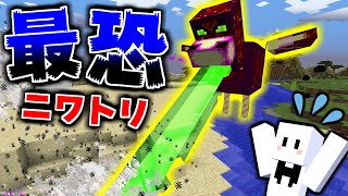 【MOD紹介】マイクラ史上最強のニワトリがヤバすぎたｗｗｗ【茶番】【マインクラフト】