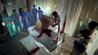 Ben Hart, Killer Magic: Sawing a Woman in Half