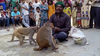बंगाली जादूगर || बन्दर बंदरिया का खेल भाग- 1 भरपूर मनोरंजन चैनल को सब्सक्राइब जरूर करे