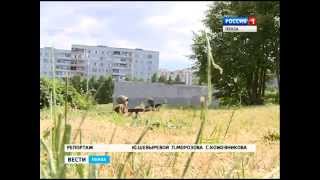 Пензенский авиаклуб возобновляет полеты на планерах