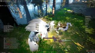 검은사막 아쳐 각성 개방 업데이트 사냥 영상 (Black Desert archer play) 2018.12.19