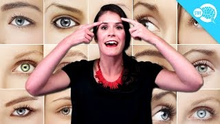 Why Do We Have Eyebrows?