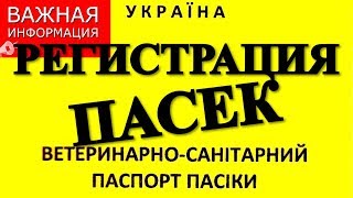 Регистрация пасек в Украине | Как зарегистрировать пасеку / FABRO