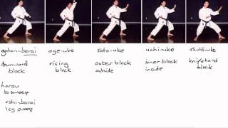Karate Terminology: Basic Blocks Part 1
