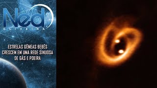 Estrelas Gêmeas Bebês Crescem em uma Rede Sinuosa de Gás e Poeira