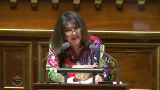 Nathalie Goulet explique le vote du budget 19/12/2019