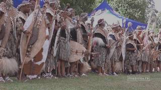 Reed Dance Virgins - Amatshitshi pt2