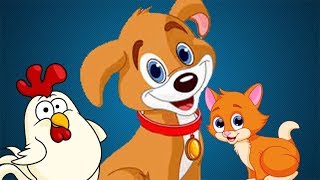KÖPEĞİM HAV HAV DER (Çocuk Şarkısı) / Pıtırcık