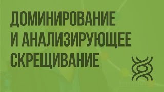 Неполное доминирование и анализирующее скрещивание. Видеоурок по биологии 9 класс