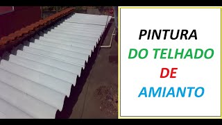 COMO PINTAR TELHADO DE AMIANTO DENTRO E FORA DA CASA #Dica #112