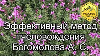 Метод пчеловода Богомолова А.С.