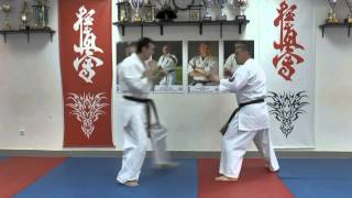 WFKO. Ushiro geri - kumite Shihan Alexei Gorokhov. Lesson 12