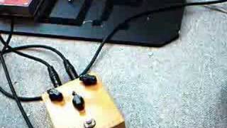 T-Rex Mudhoney Fuzz