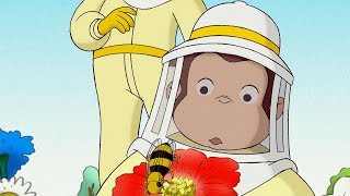 Curious George ? 1 Hour Compilation ? English Full Episode ? Videos For Kids