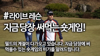 지금 당장 필드에서 사용할 숏게임 & 어프로치 꿀팁 | [골프레슨 Live] 굿샷김프로 #45